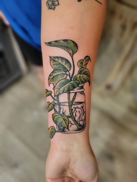 Arm Plant Tattoos For Women, Plant Ring Tattoo, Botanical Tattoo Traditional, House Plant Tatoos, Traditional Style Plant Tattoo, Plant Themed Tattoos, Plant Mom Tattoo, Indoor Plant Tattoo, Plant Tattoos Simple