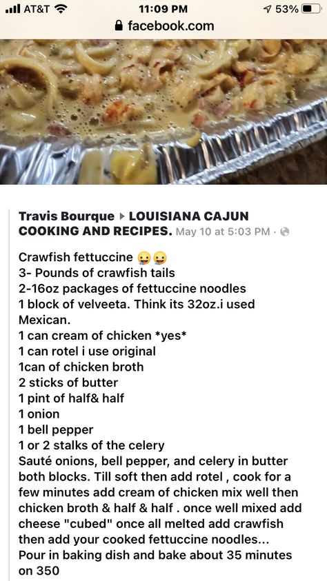 Rotel Recipes, Crawfish Recipes, Fettuccine Recipes, Fettuccine Noodles, Chicken Fettuccine, Louisiana Cajun, Cajun Cooking, Velveeta Cheese, Dinner Ideas