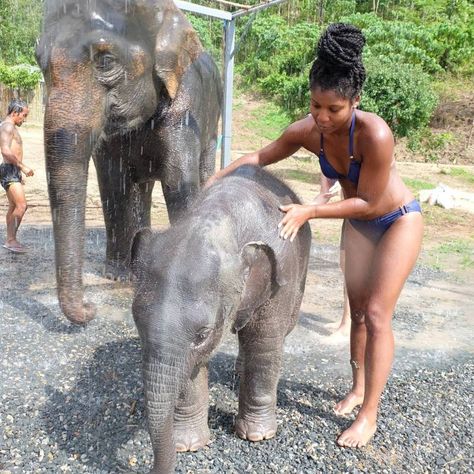 Elephant Jungle, Elephant Sanctuary, Vacation Goals, Vacation Mood, Elephant Love, Animal Sanctuary, Phuket Thailand, Dream Travel Destinations, Black Travel