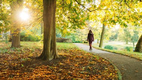 Health Benefits Of Walking, Walking Meditation, Benefits Of Walking, Today Pictures, Yoga Journal, Runners World, Alternative Therapies, Meditation Practices, Lower Blood Pressure