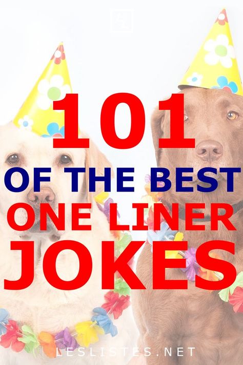 One liner jokes are some of the best types of jokes. They manage to put a lot of humor in such a short thought. Check … | One liner jokes, One line jokes, One liner Fun One Liners, Jokes One Liner, One Liner Jokes Hilarious, Funny One Liners Jokes, Short Jokes Funny Laughing, Best Jokes Ever Hilarious Laughing, Jokes Hilarious Funny Short, Funny Jikes, Corny Jokes Hilarious Funny