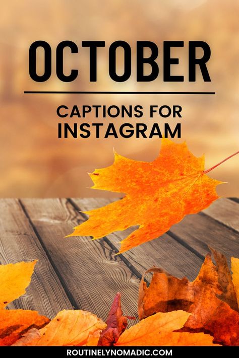 Fall leaves with October captions for Instagram October Wishes Quotes Inspirational, October Favorite Month, October 1st Quotes Halloween, October Salon Quotes, First Day Of October Funny, Quotes About October Month, October Business Quotes, First October Quotes, October Fitness Quotes