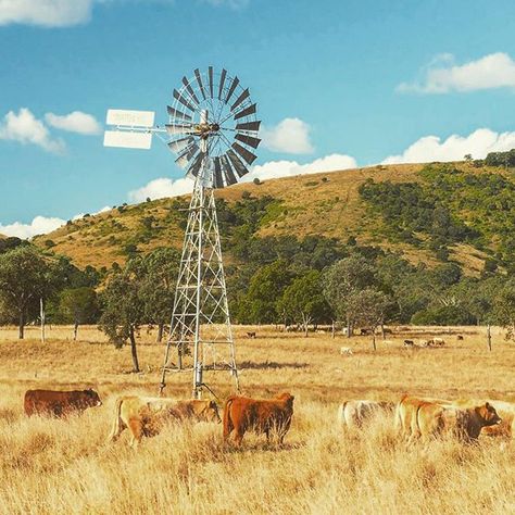 Australian Outback Aesthetic, Australian Countryside, Australian Scenery, Cattle Station, Modern Art Artists, Outback Queensland, Australian Landscapes, Rural Photography, Australian Country