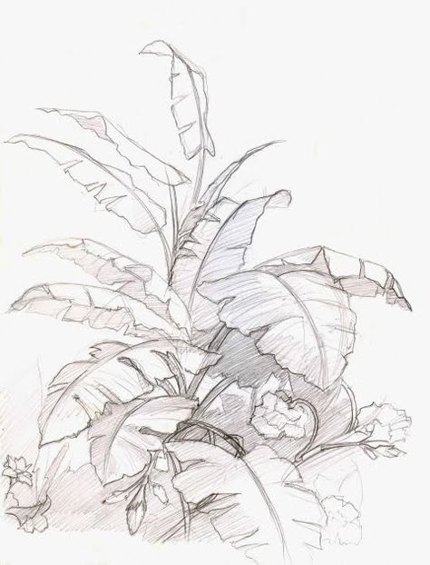 Plant Sketches, Nature Sketch, Landscape Sketch, Nature Drawing, Plant Drawing, Arte Sketchbook, Pencil Art Drawings, Tree Drawing, Landscape Drawings