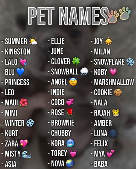 Top Dog Names, Idee Username, Nicknames For Friends, Cute Animal Names, Cute Puppy Names, Cute Pet Names, Cute Names For Dogs, Animal Names, Anak Haiwan