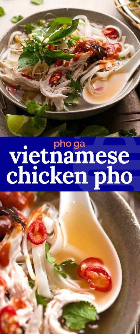 Vietnamese Chicken Pho, Vietnamese Chicken Soup, Soup Vietnamese, Chicken Pho Soup, Pho Soup Recipe, Pho Ga, Vietnamese Chicken, Recipe Shrimp, Chicken Pho