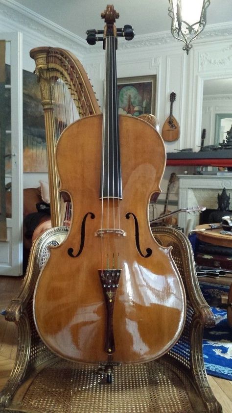 Poppy Litchfield, Cello Aesthetic, Instruments Aesthetic, Cello Photography, Violin Family, Orchestra Music, Cello Music, Violin Music, Music Student