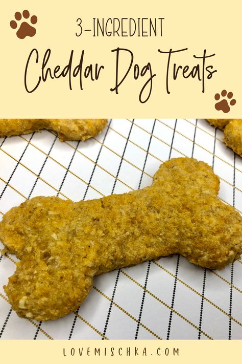 Cheddar Dog Treats, 3 Ingredient Dog Treats, Lou Dog, Dog Cookie Recipes, Pet Treats Recipes, Dog Treats Homemade Easy, Easy Dog Treat Recipes, Frozen Dog Treats, Dog Biscuit Recipes