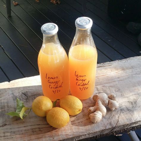 The Best Ever Lemon Cordial Syrup – Country Trading Co Lemon Cordial Recipe Homemade, Herb Syrup, Homemade Cordial, Lemon Cordial Recipe, Cordial Recipes, Best Homemade Lemonade, Squash Drink, Maklike Resepte, Homemade Extracts