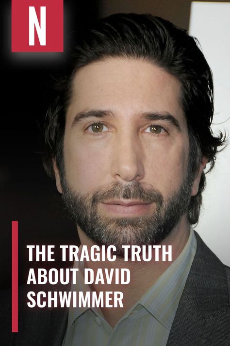 David Schwimmer is undoubtedly one of the most successful actors on television, thanks in large part to his standout performance in the widely acclaimed sitcom "Friends." #friendscast #davidschwimmer #celebs David Schwimmer 90s, David Schwimmer, Friends Cast, Jennifer Aniston, The Voice, Swift, Best Friends, Actors, Celebrities