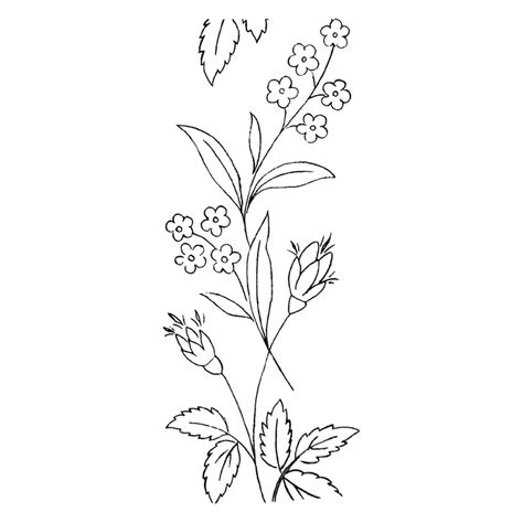 Forget Me Not Embroidery Pattern, Forget Me Not Embroidery, Crochet Flower Blanket, Flower Outline, Single Line Drawing, Flower Blanket, Outline Drawings, Free Graphics, Vintage Embroidery