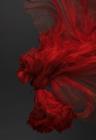 Tango Aesthetic, Red And Black Background, I See Red, Beautiful Dark Art, Red Queen, Color Rojo, Red Aesthetic, Shades Of Red, Color Photography