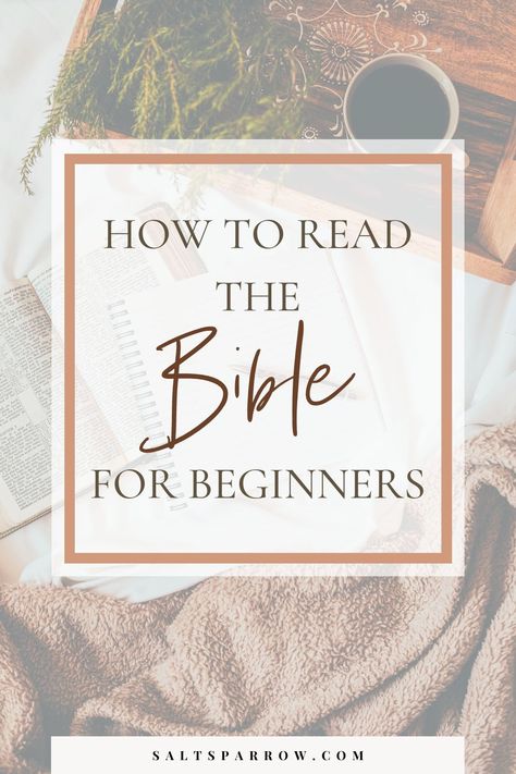 How to Read the Bible for Beginners - Salt + Sparrow Start Reading The Bible, Bible For Beginners, Easy To Read Bible, Journal For Beginners, Holly Bible, Bible Studies For Beginners, Reading The Bible, Bible In A Year, Bible Study Plans