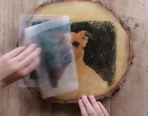 Une astuce étonnante pour imprimer une photo sur du bois ou un t-shirt avec... la crème solaire ! Photo On Wood Diy, Photo Transfer To Wood, Diy Mod Podge, Wood Transfer, Diy Event, Photo Transfer, Rope Light, Photo On Wood, Mod Podge