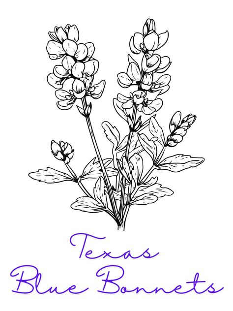 Texas Blue Bonnet Printable wall art. If you would like it to be personalize, please send me a message. Also if you have any issues, please reach out so I can get it fixed for you. Thank you so much! Girly Texas Tattoo, Blue Bonnet Drawing, Bluebonnet Drawing, Blue Bonnet Flower, Bluebonnet Tattoo, Biblical Tattoos, Texas Wildflowers, Texas Tattoos, Blue Bonnet