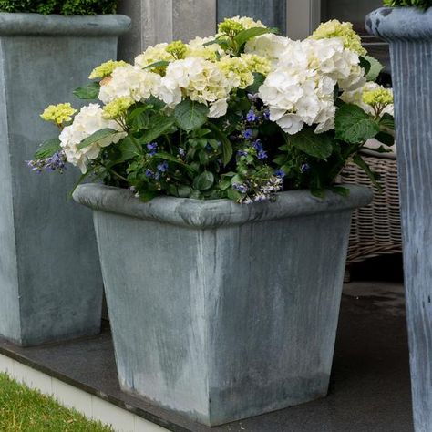 Zinc Planters – A Place In The Garden Zinc House, Zinc Planters, Colonial House Exteriors, Pots Garden, Tall Planters, Art Deco Movement, Head Planters, Outdoor Planter, Traditional Garden