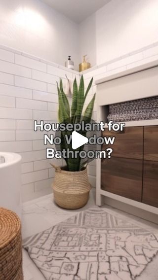 Plants In Bathroom No Window, Plants For Bathroom With No Windows, Plant For Bathroom With No Windows, No Window Bathroom, Bathroom No Window, Bathroom Plants No Sunlight, Bathroom With No Windows, Plant Bathroom, Best Bathroom Plants