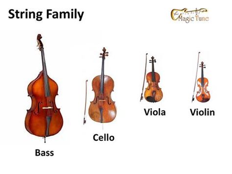 The string family.... on.fb.me/1NExtY5 Music Vocabulary, Violin Photography, Kids Instruments, Violin Family, Instrument Families, Music Teaching Resources, Family Research, Music Teaching, String Quartet