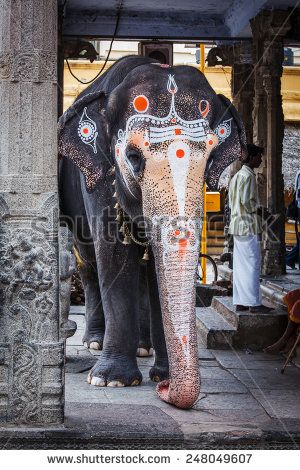 Temple Elephant, Dance Indian, Elephant India, Elephant Photography, Elephants Photos, Shiva Family, Indian Classical Dance, Hindu Statues, Lord Shiva Family