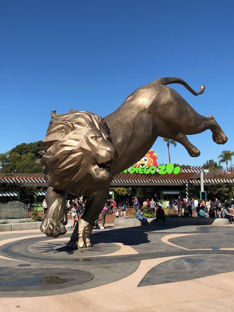 San Diego Zoo Aesthetic, Zoo Inspiration, Zoo Project, Zoo Art, Picture Inspiration, San Diego Zoo, Wildlife Park, 2024 Vision, California Travel