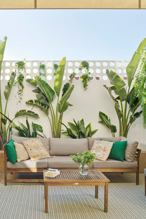 Hanging Plants Terrace, White Bird Of Paradise Plant Outdoor, Birds Of Paradise Backyard, Strelitzia Nicolai Outdoor, Birds Of Paradise Landscaping Ideas, Tropical Entryway Ideas, Small Tropical Courtyard, Bird Of Paradise Plant Outdoor Landscape, Birds Of Paradise Plant Outdoor