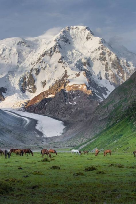 Hiking in Kyrgyzstan: The 21 best Jyrgalan and Karakol Trekking Trails 24 Silk Road Aesthetic, Central Asia Aesthetic, Kyrgyzstan Photography, Nomadic Aesthetic, Kyrgyzstan Aesthetic, Karakol Kyrgyzstan, Adventurer Aesthetic, Kyrgyzstan Travel, Inktober 2024