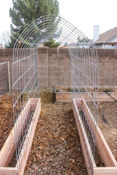 Building A Trellis, Taman Diy, Raised Garden Bed Plans, Garden Boxes Diy, Diy Garden Trellis, Garden Boxes Raised, Diy Trellis, Garden Vines, Diy Raised Garden