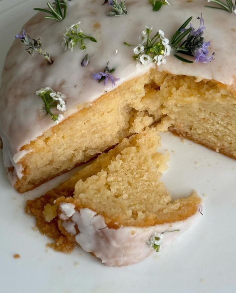 grapefruit olive oil cake with a lemon orange blossom glaze 🍊 By @ardsydney_ #baker #baking #bakery #bakersgonnabake #food #foodphotography #foodstagram #foodblogger #foodie #foodies #cake #cakedecorating Loaf Cake Aesthetic, Lemon Olive Oil Cake, Bakers Gonna Bake, 21st Party, Oil Cake, Olive Oil Cake, Interesting Food, Cute Birthday Cakes, Pastry Cake