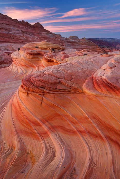 second wave Desert Scenes, Canyon Landscape, Usa Roadtrip, Red Sand, Nevada Usa, Interesting Places, To Infinity And Beyond, Rock Formations, Zion National Park