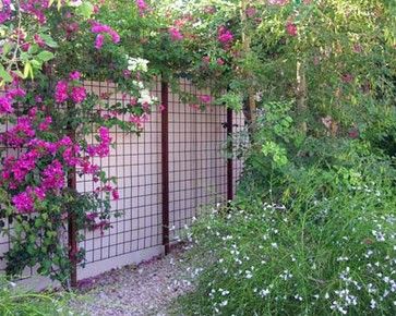 Urban Earth Design - modern - landscape - phoenix - Urban Earth Design  Love the fence along the wall - makes for great hold for plants like Bougainvillea, Arabian Jasmine, creeping fig, snail vines or Lady Banks Roses  ... I am wanting to do this more and more! <3 Wire Trellis, Iron Trellis, Metal Trellis, Living Fence, Diy Trellis, Garden Vines, Front Yard Fence, Earth Design, Modern Fence