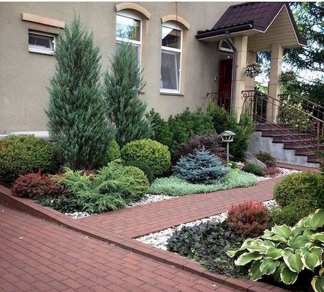 Love the use of evergreen shrubs and trees for front home entrance Evergreen Landscape, Evergreen Garden, Small Front Yard Landscaping, Front Yard Design, Front Landscaping, Have Inspiration, Landscape Plans, Front Yard Garden, Yard Design