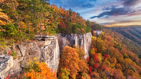 Fall Foliage Trips, Virginia Fall, New River Gorge, Leaf Peeping, Autumn Morning, Fall Hiking, New River, Camping Spots, Romantic Weekend