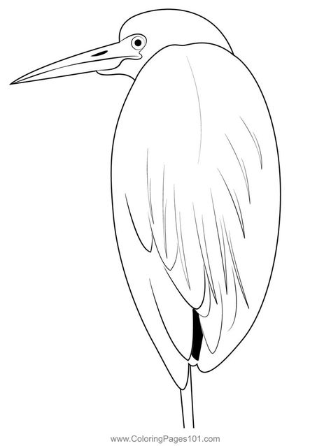 Little Blue Heron 1 Coloring Page Herons, Blue Heron, Free Kids, Printable Coloring Pages, Printable Coloring, Coloring Pages For Kids, Coloring Page, Free Printable, Coloring Pages