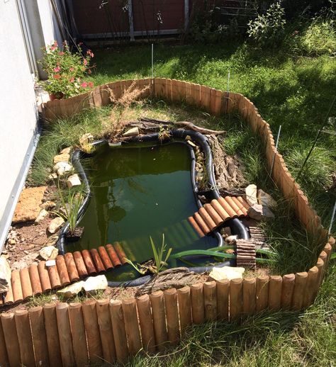 #turtle #turtlepond #outdoor #pond #water #fishpond #garden #lawn Turtle Outdoor Habitat Ideas, Turtle Backyard Habitat, Outdoor Pond For Turtles, Outside Turtle Enclosure, Turtle Stock Tank Ideas, Backyard Turtle Pond Ideas, Outdoor Aquatic Turtle Enclosure, Outside Turtle Pond, Outdoor Water Turtle Habitat