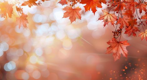 Autumn Maple Leaves With Bokeh Fall Wallpaper Horizontal, Tree Saw, Wedding People, Dating Games, Heart Tree, Maple Leaves, Cityscape Photos, Logo Banners, Nature Backgrounds