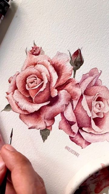 Vaibhav Tyagi on Instagram: "Vintage roses for the warm fuzzy feeling 🌹 . . Paper- @archespapers CP Paints- @sennelier1887 Brush- @silverbrushltd . . #rose #vintagerose #rosewatercolor #watercolorpainting #watercolorflowers #watercolorflorals #floralart #roses #watercolorart #watercolorillustration #aquarelle" Vintage Rose Painting, Paintings Of Roses, Rose Painting Watercolor, Roses Watercolor Painting, Rose Watercolour, Drawing Roses, Roses Pictures, Watercolour Roses, Colorful Floral Art