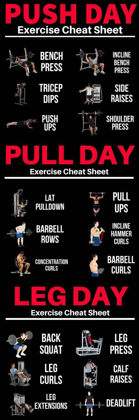 Push Pull Workout, Fitness Studio Training, Push Pull Legs, Latihan Dada, Bolesti Chrbta, Push Day, Gym Antrenmanları, Exercise Chart, Fitness Routines