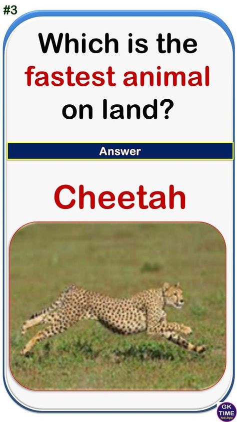 fastest animal on land || GK Knowledge || GK in English for Kids || GK ||General Knowledge || GK Quiz || GK Questions and Answers || GK Questions || GK TIME || GK Knowledge in English || Gk Questions And Answers In English For Kids, Gk Questions For Class 1, Gk Knowledge In English, Gk English, Gk In English, Diary Writing Ideas Personal, General Knowledge For Kids, English For Kids, Animal Quiz