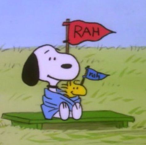 Woodstock Snoopy, Snoopy Cartoon, Snoopy Images, Snoopy Wallpaper, Joe Cool, Snoopy Pictures, Snoop Dog, Snoopy Love, Cowboy Bebop