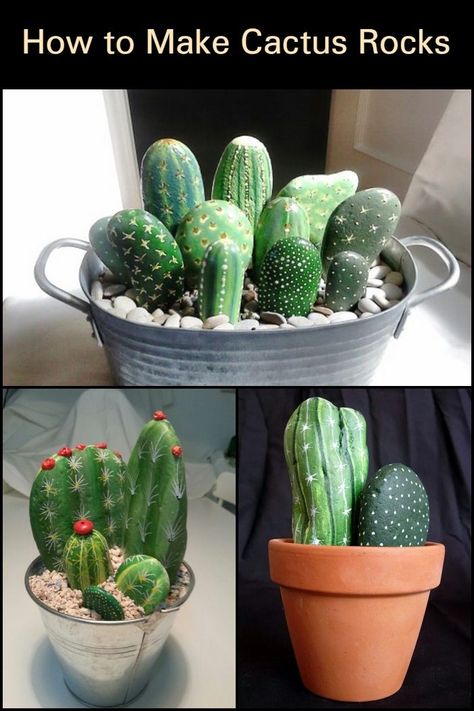 Stone Painting Cactus Rock Art, Cactus Rocks Painted Diy, Rocks Painted Like Cactus, Rock Painting Cactus Ideas, Painted Cactus Rocks In Pot, Painted Rock Cactus Garden, Painted Rocks Cactus Stones, Painted Cactus Pots, Rock Cactus Garden Painted Stones