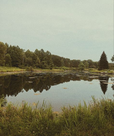 Film Photography. Nature. Lake. Film Photo. Grainy. Aesthetic. Gloomy. Nature, Vintage Photography Nature, 70s Nature Photography, Gloomy Landscape Photography, Film Nature Aesthetic, Aesthetic Outside Photos, Vintage Photography Landscape, Grainy Photos Aesthetic, 35 Mm Film Photography Nature