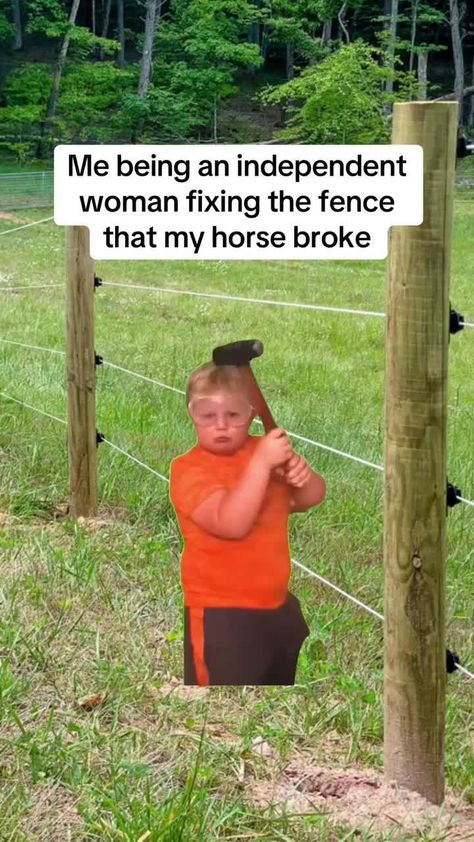 Equestrian Humor, Hunting Quotes Funny, Horse Meme, Country Videos, Country Jokes, Funny Horses, Horse Aesthetic, Horse Quotes, Seriously Funny