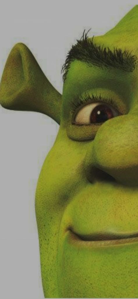 Shrek Tattoo, Fiona Y Shrek, Mike Myers, Animated Movie Posters, Eddie Murphy, Garage Art, Cameron Diaz, Animation Movie, Baby Tattoos