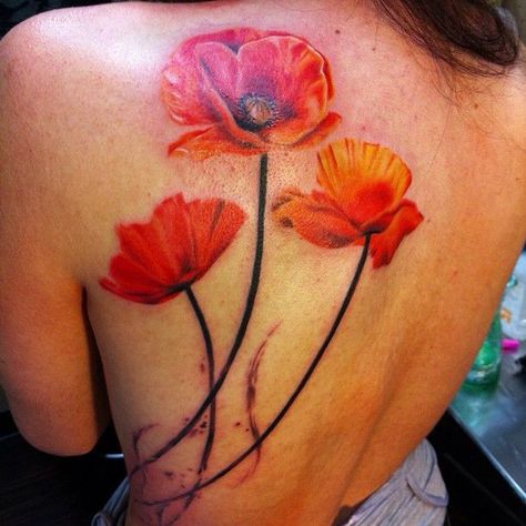 Beautiful red poppies tattoo on back Poppy Tattoo Meaning, Watercolor Poppy Tattoo, Red Poppy Tattoo, Poppy Tattoos, California Poppy Tattoo, Nikko Hurtado, Poppy Flower Tattoo, Tattoo Son, Poppy Tattoo