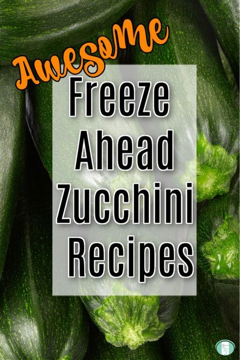 Not sure what to do with all that garden zucchini? These freezer friendly recipes can be made ahead so that nothing goes to waste. #zucchini #freezermeals101 #zucchinirecipe #makeaheadmeals How To Use Frozen Zucchini Recipes, How To Freeze Zucchini Slices, Bulk Zucchini Recipes, Recipes For Frozen Zucchini, Zucchini Recipes That Freeze Well, Ways To Freeze Zucchini, Ways To Use Up Zucchini, Freezable Zucchini Recipes, Zucchini Recipes Freezable