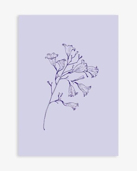 Jacaranda Flower Drawing, Jacaranda Tree Drawing, Jacaranda Flower Tattoo, Jacaranda Illustration, Jacaranda Tree Tattoo, Jacaranda Tattoo, Jacaranda Flower, Natural Drawing, Rag Art