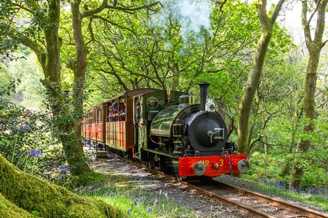 Heritage Railway, Super Saturday, Railway Museum, Train Art, Snowdonia, Steam Engine, Steam Trains, Steam Locomotive, British Isles