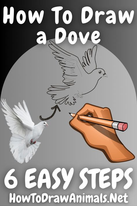 learn to easily draw a dove bird How To Draw A Dove Step By Step, How To Draw A Dove, How To Draw A Bird Easy, Dove Drawing Simple, Doves Drawing, Bird Outline Drawing, Bird Nest Drawing, Dove Bird Art, Woodburning Design