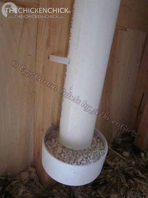 Duck Feeding, Pvc Chicken Feeder, Animal Farming, Chicken Feeder Diy, Pigeon Loft, Chicken Feeders, Chicken Ideas, Animal Ideas, Chicken Feeder