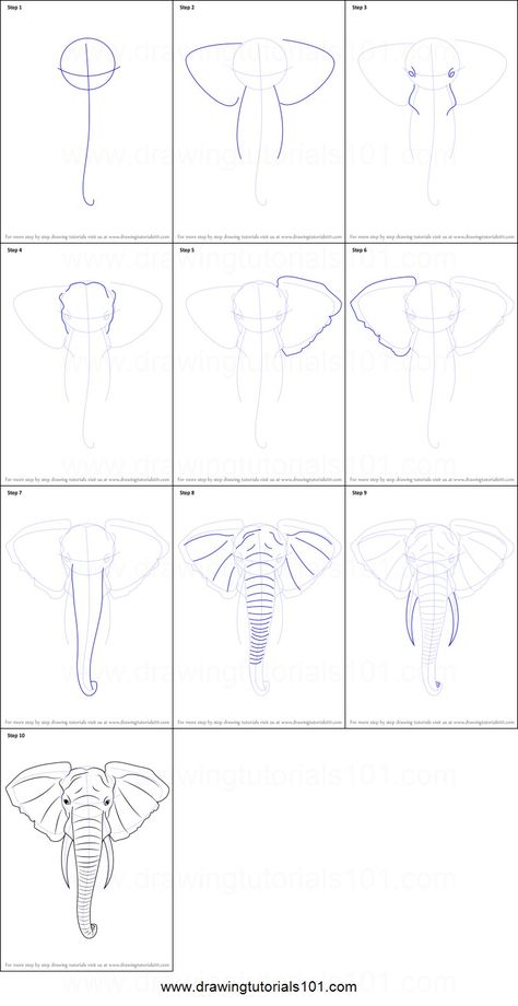 Step By Step Drawing Elephant, Elephant Painting Canvas Step By Step, Painting Elephants On Canvas, Canvas Elephant Painting, How To Paint An Elephant On Canvas, Elephant How To Draw, How To Paint Elephant, Elephant Head Painting, Drawing An Elephant